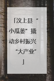 汶上县“小瓜蒌”撬动乡村振兴“大产业”